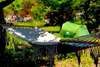 Кемпинги Agape Camping and Family Cottage Котор-4