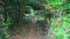 Кемпинги Agape Camping and Family Cottage Котор-5